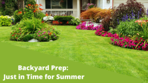 Prepare Your Backyard for Summer - Dunmar Moving Systems