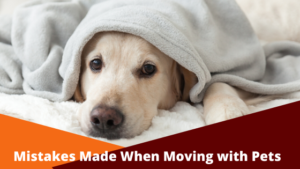 Moving with Pets - Dunmar Moving Systems