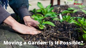 Moving a Garden - Dunmar Moving Systems in Richmond, VA