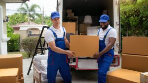 Moving boxes and professional relocation services